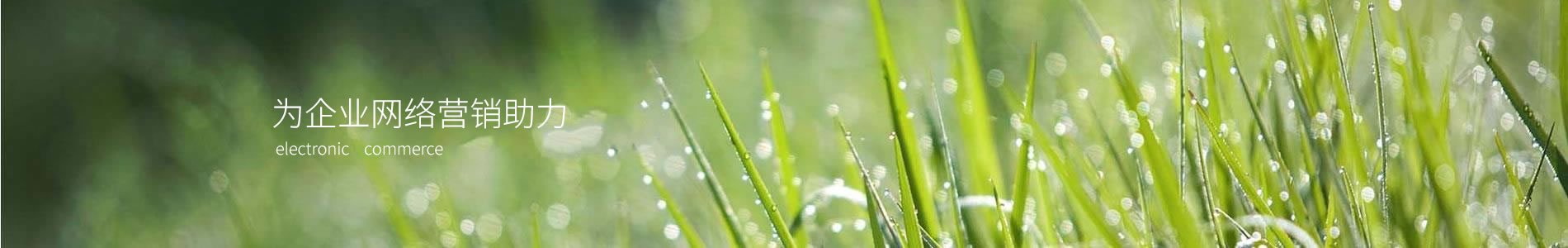 леƼ޹˾
